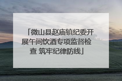 微山县赵庙镇纪委开展午间饮酒专项监督检查 筑牢纪律防线