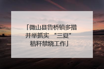 微山县鲁桥镇多措并举抓实 “三夏” 秸秆禁烧工作