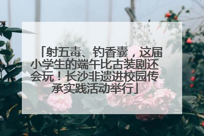 射五毒、钓香囊，这届小学生的端午比古装剧还会玩！长沙非遗进校园传承实践活动举行
