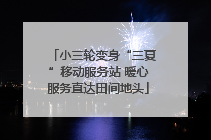 小三轮变身“三夏”移动服务站 暖心服务直达田间地头