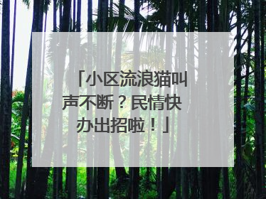 小区流浪猫叫声不断？民情快办出招啦！