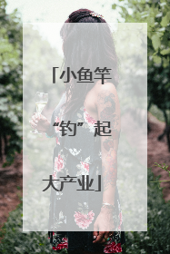 小鱼竿“钓”起大产业