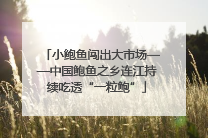 小鲍鱼闯出大市场——中国鲍鱼之乡连江持续吃透“一粒鲍”