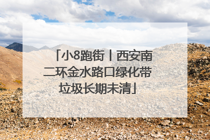 小8跑街丨西安南二环金水路口绿化带垃圾长期未清