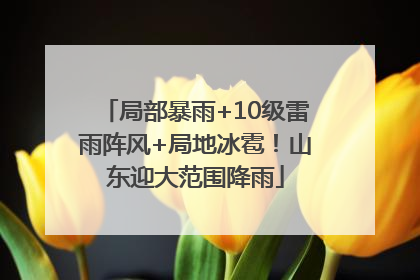 局部暴雨+10级雷雨阵风+局地冰雹！山东迎大范围降雨