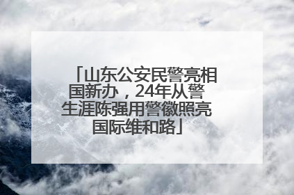 山东公安民警亮相国新办，24年从警生涯陈强用警徽照亮国际维和路