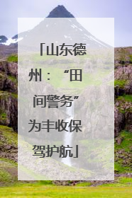山东德州：“田间警务”为丰收保驾护航