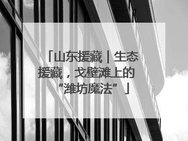 山东援藏｜生态援藏，戈壁滩上的“潍坊魔法”