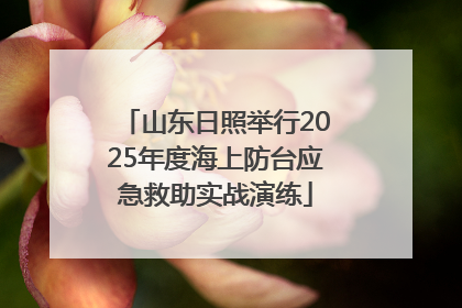 山东日照举行2025年度海上防台应急救助实战演练