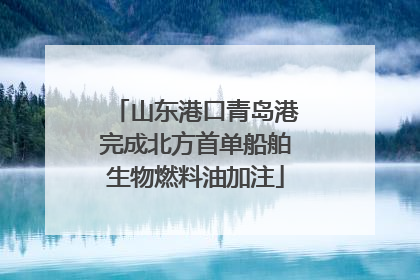 山东港口青岛港完成北方首单船舶生物燃料油加注