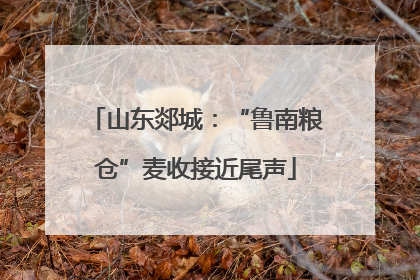 山东郯城：“鲁南粮仓”麦收接近尾声