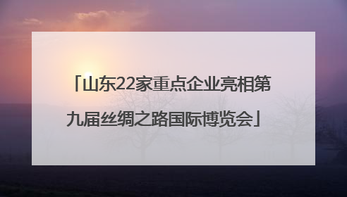 山东22家重点企业亮相第九届丝绸之路国际博览会