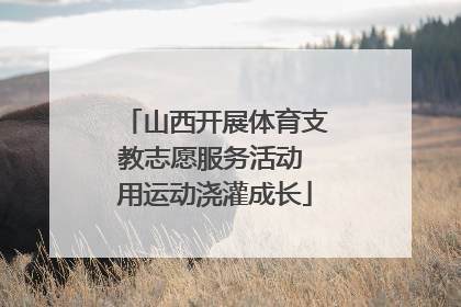山西开展体育支教志愿服务活动 用运动浇灌成长