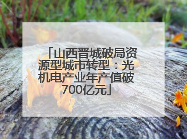 山西晋城破局资源型城市转型：光机电产业年产值破700亿元
