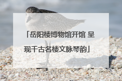 岳阳楼博物馆开馆 呈现千古名楼文脉琴韵