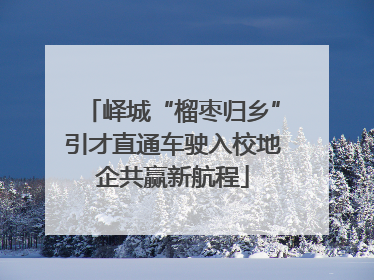 峄城“榴枣归乡”引才直通车驶入校地企共赢新航程