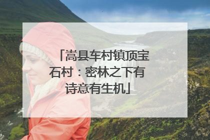 嵩县车村镇顶宝石村：密林之下有诗意有生机