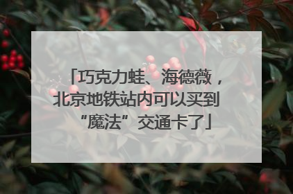 巧克力蛙、海德薇，北京地铁站内可以买到“魔法”交通卡了