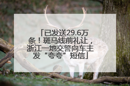 已发送29.6万条！斑马线前礼让，浙江一地交警向车主发“夸夸”短信