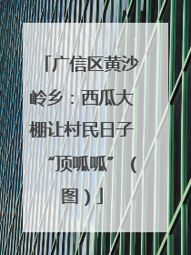 广信区黄沙岭乡：西瓜大棚让村民日子“顶呱呱”（图）