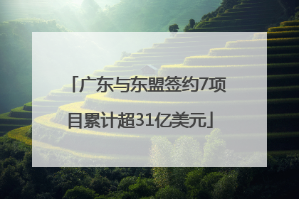 广东与东盟签约7项目累计超31亿美元