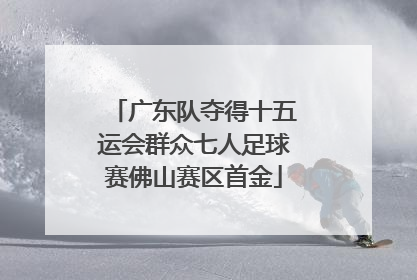 广东队夺得十五运会群众七人足球赛佛山赛区首金