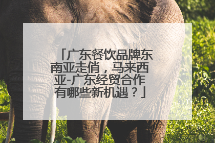 广东餐饮品牌东南亚走俏，马来西亚-广东经贸合作有哪些新机遇？