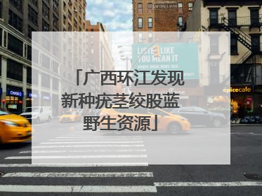 广西环江发现新种疣茎绞股蓝野生资源