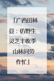 广西田林县：仿野生灵芝丰收季 山林间劳作忙