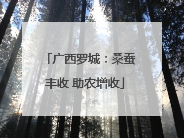 广西罗城：桑蚕丰收 助农增收