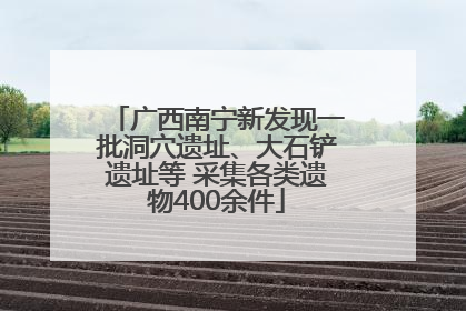 广西南宁新发现一批洞穴遗址、大石铲遗址等 采集各类遗物400余件