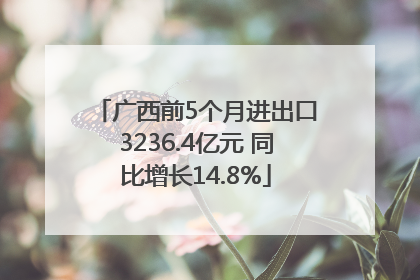 广西前5个月进出口3236.4亿元 同比增长14.8%