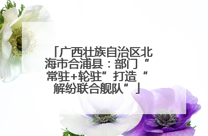 广西壮族自治区北海市合浦县：部门“常驻+轮驻”打造“解纷联合舰队”