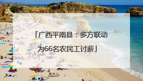 广西平南县：多方联动为66名农民工讨薪