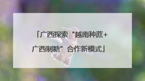 广西探索“越南种蔗+广西制糖”合作新模式
