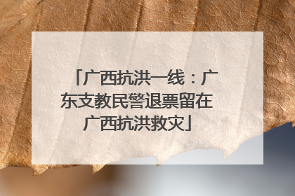 广西抗洪一线：广东支教民警退票留在广西抗洪救灾