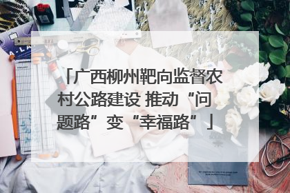 广西柳州靶向监督农村公路建设 推动“问题路”变“幸福路”