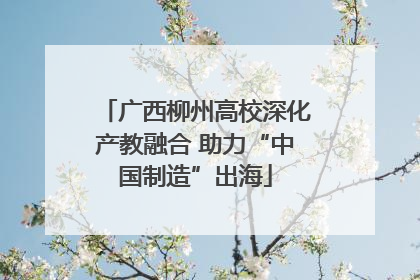广西柳州高校深化产教融合 助力“中国制造”出海