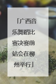 广西音乐舞蹈比赛决赛前站会在柳州举行