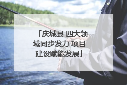 庆城县 四大领域同步发力 项目建设赋能发展