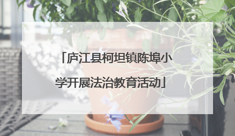庐江县柯坦镇陈埠小学开展法治教育活动