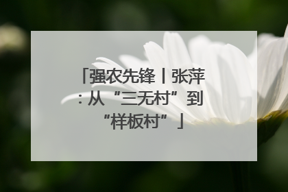 强农先锋丨张萍：从“三无村”到“样板村”
