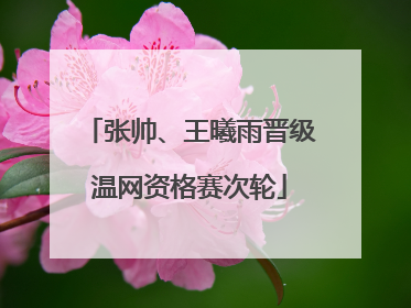 张帅、王曦雨晋级温网资格赛次轮