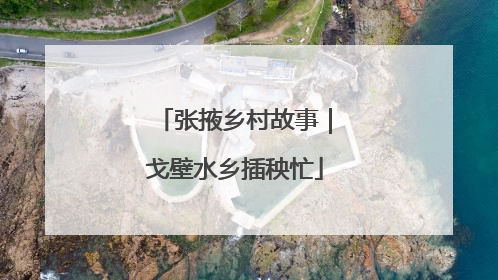 张掖乡村故事｜戈壁水乡插秧忙