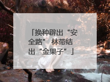 换种辟出“安全路” 林带结出“金果子”