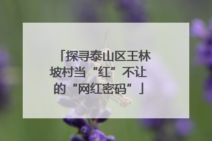 探寻泰山区王林坡村当“红”不让的“网红密码”