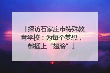 探访石家庄市特殊教育学校：为每个梦想，都插上“翅膀”