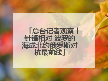 总台记者观察丨针锋相对 波罗的海成北约俄罗斯对抗最前线