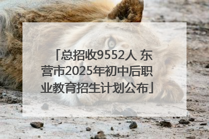 总招收9552人 东营市2025年初中后职业教育招生计划公布
