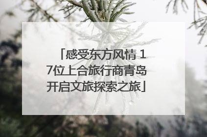 感受东方风情 17位上合旅行商青岛开启文旅探索之旅